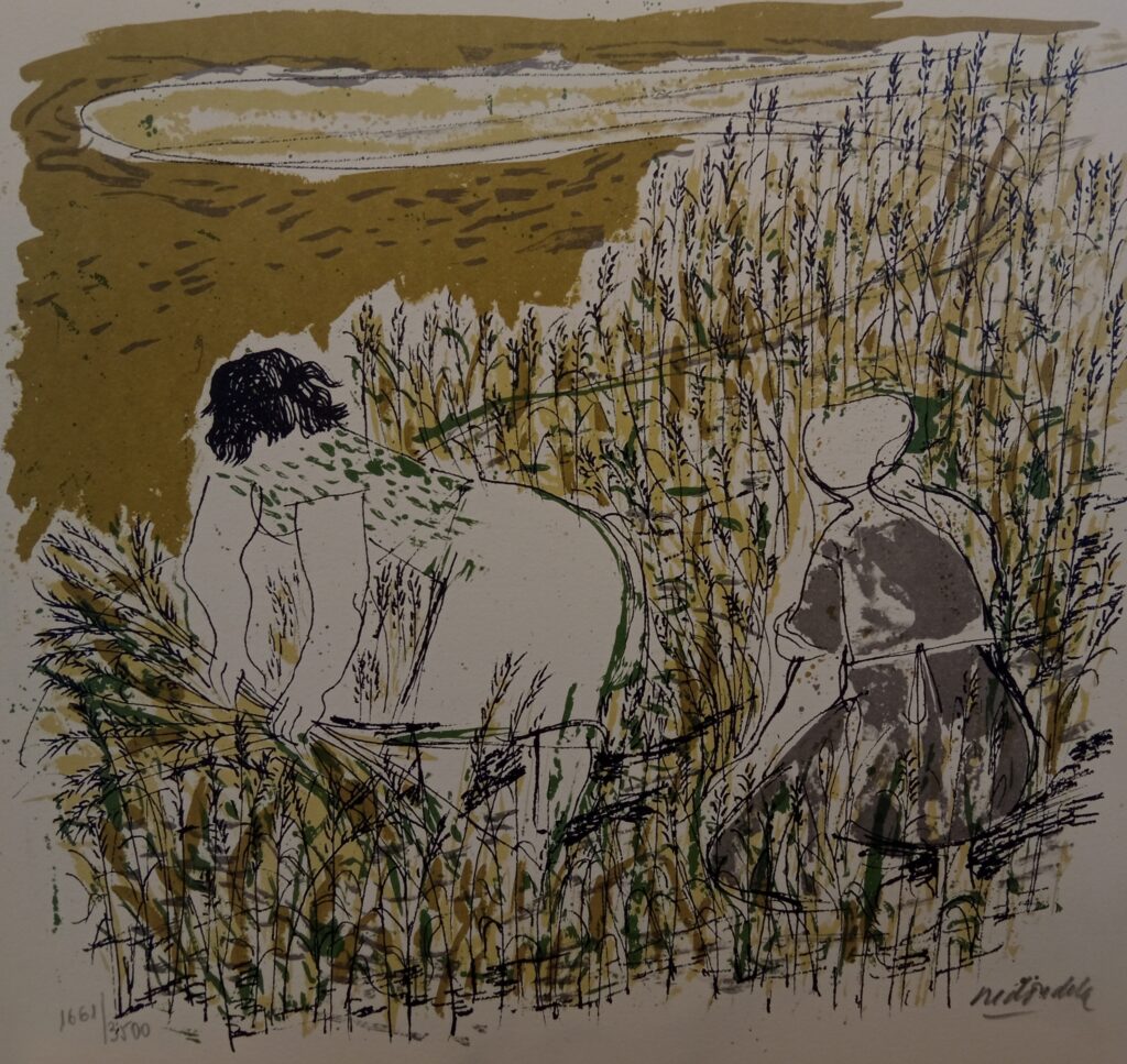 Serigrafia di Agustín Redondela