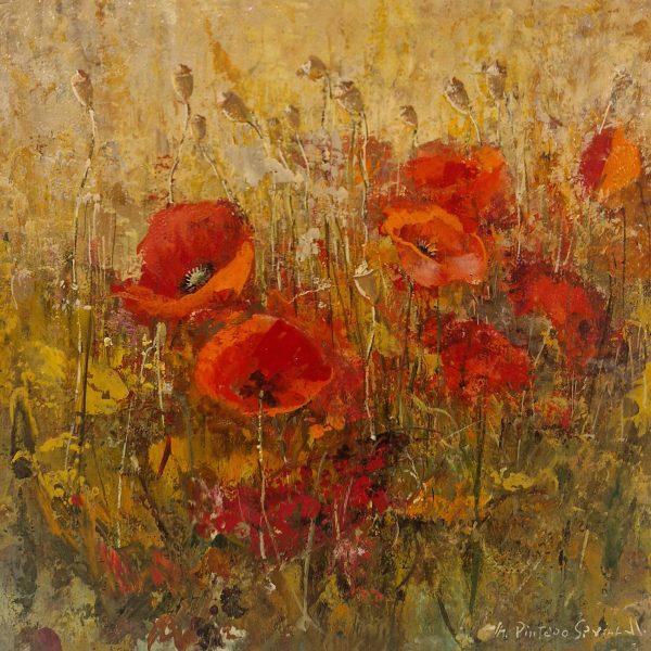 Amapolas, Ángel Pintado